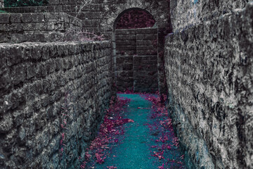 a stone corridor a fantasy environment. ruins of a castle. pink leaves in the middle of stone wall