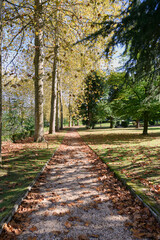 Autumn in Loyola, Azpeitia, Guipuzcoa, Basque Country, Euskadi, Euskal Herria, Spain.