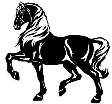 walking horse. Black heavy draft stallion in the profile. Silhouette. Side view vector illustration