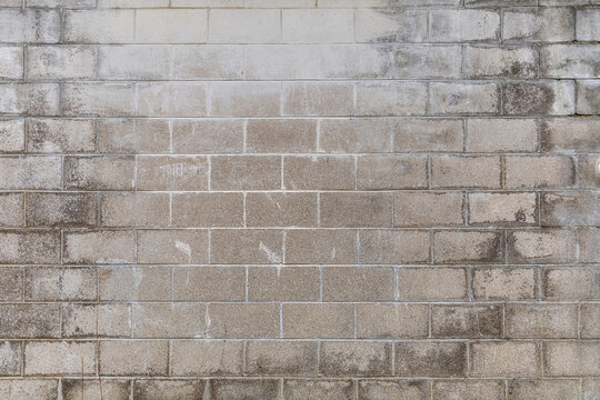 Cinder Block Wall