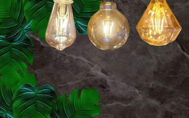 lighting with dark background and tropical green leaves