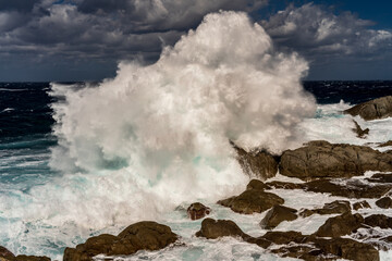 Huge waves of the stormy sea break on the rocks of the coast