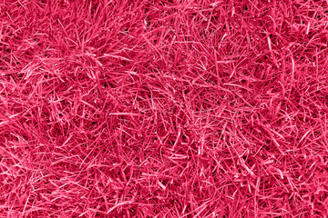 Fashionable purple plant. Top view, texture, pattern, background.