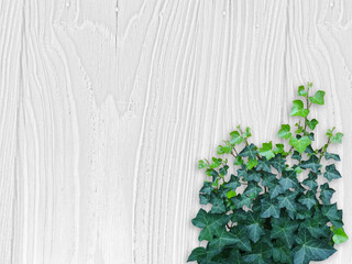 木目背景とグリーン