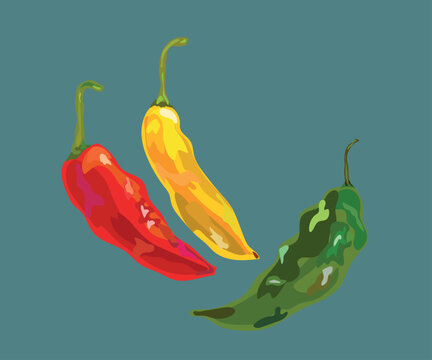 aji limo peruvian pepper vector illustration