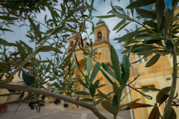 Foliage in front of Church of Santwarju tal-Madonna ta' Pompei in the city of Marsaxlokk on a cloudy day. Beautiful leaves hiding the view.