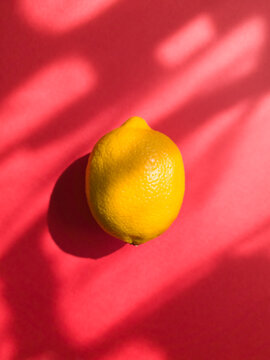 Ripe lemon on sunlit pink background with shadows. Minimal style summer concept. Top view.