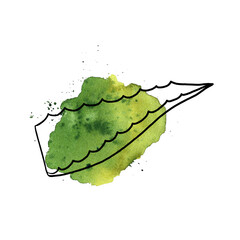Aloe vera. Doodle and watercolor. For labels and packaging of cosmetology, perfumery and medicine.