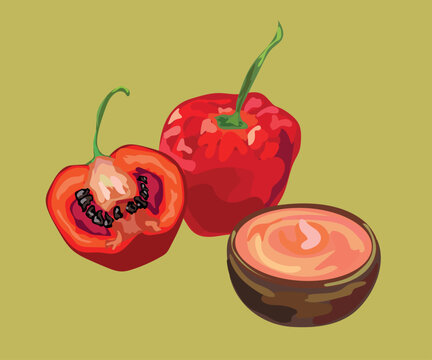 rocoto sauce peruvian pepper vector illustration