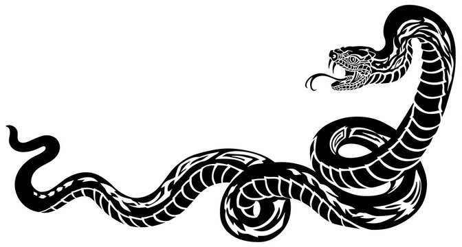 poisonous snake in a defensive position. Attacking posture. Silhouette. Black and white tattoo style vector illustration