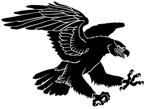 Eagle in flight. Black silhouette. Landing attacking prey bird. Side view. Isolated vector illustration