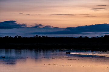 colorful sunrise over the lake in nature