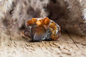 Natural Raw Fire Agate Semiprecious Gem Stone