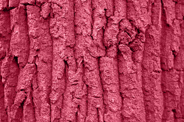 Tree bark texture background. Trendy color concept.