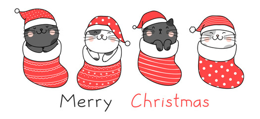 Hand drawn character cute cats in Christmas sock.