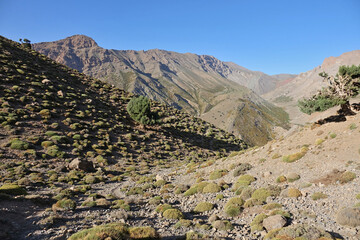 La grande traversée de l’Atlas au Maroc, 18 jours de marche. Les sources d'Ikkis, col d'Arouri, plateau de Tarkeddit. et sources de la Tessaout.