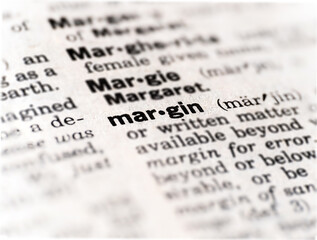 dictionary definition of the word margin