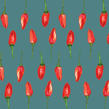 aji charapita peruvian pepper pattern vector illustration