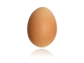 Single chicken brown egg isolated from white background. High quality photo