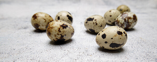  Quail eggs small spotted on a gray stone table. High quality photo Small quail eggs on a gray stone table soft selective focus blurred background.