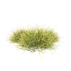 Front view of Plant (Grass Group 2) Tree png