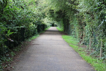 Obraz premium footpath in the park