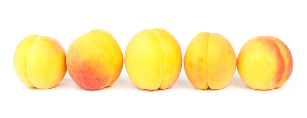 Ripe yellow peaches on a white background, a row of apricots.