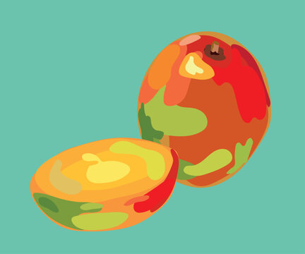 Kent Mango Vector Illustration