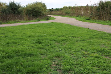 path in the field