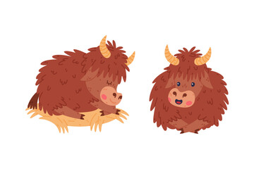 Cute Yak Character with Dense Fur and Horns Sitting Vector Set