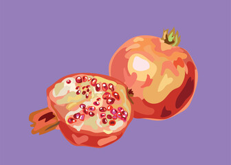pomegranate peruvian fruit  illustration