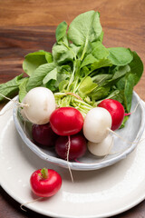 Fresh washed white and red radish vegetables ready to eat close up