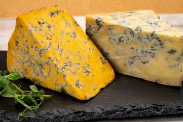 Cheese collection, English old shropshire blue and stilton blue cheeses
