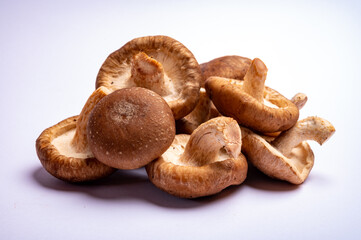 Fresh brown Lentinula edodes or shiitake edible mushrooms isolated on white background