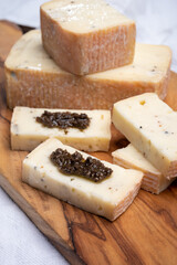 Italian cheese collection, yellow taleggio cheese with black truffles mushrooms