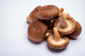 Fresh brown Lentinula edodes or shiitake edible mushrooms isolated on white background