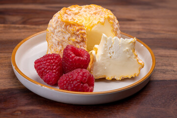 French Langres soft cows crumbly cheese with washed rind structure made in Champagne - Ardenne region