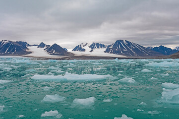 Rich Colors in an Arctic Habitat