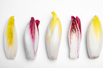 Fresh organic Belgian endivi or green and red chicory lettuce close up isolated on white background