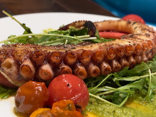Grilled Octopus with Garnish