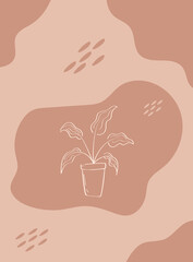 line elements flowers houseplant brown and white color рштеукпкгтв