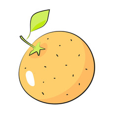 Mandarynka ilustracja