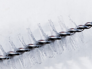 Close up of the bristles on a brush