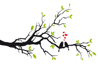 Tree branch with birds and green leaves, spring tree, design for Valentine's day card, wedding invitation, illustration over a transparent background, PNG image- 550965570