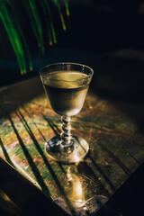 chilled white wine cocktail on brass gold table with palm tree background, dark