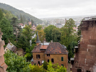 Fototapeta na wymiar The roofs of the historic houses in Heidelberg.