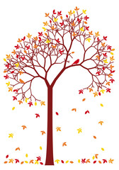 Autumn tree with colorful falling leaves and birds, illustration over a transparent background, PNG image