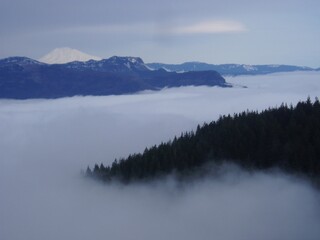 Obraz na płótnie Canvas Columbia River Fog