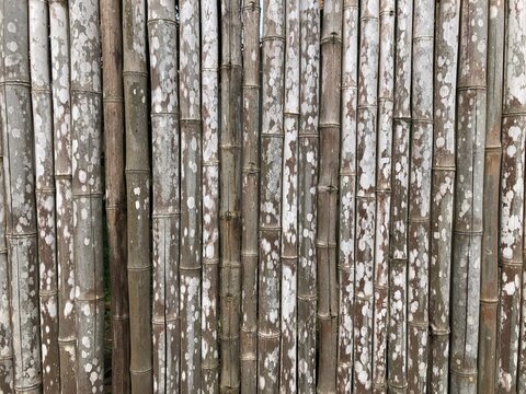 old wooden fence