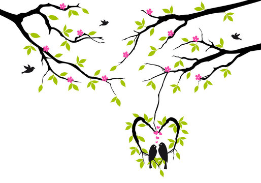 Birds on a green tree in a heart nest, illustration over a transparent background, PNG image